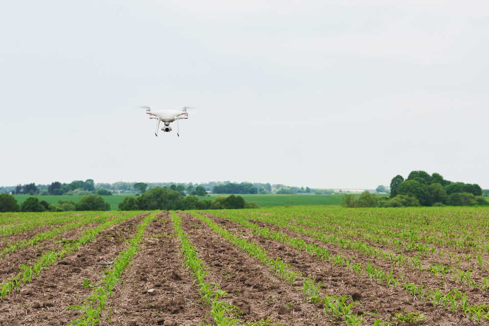 drone quad copter with high resolution digital camera green corn field