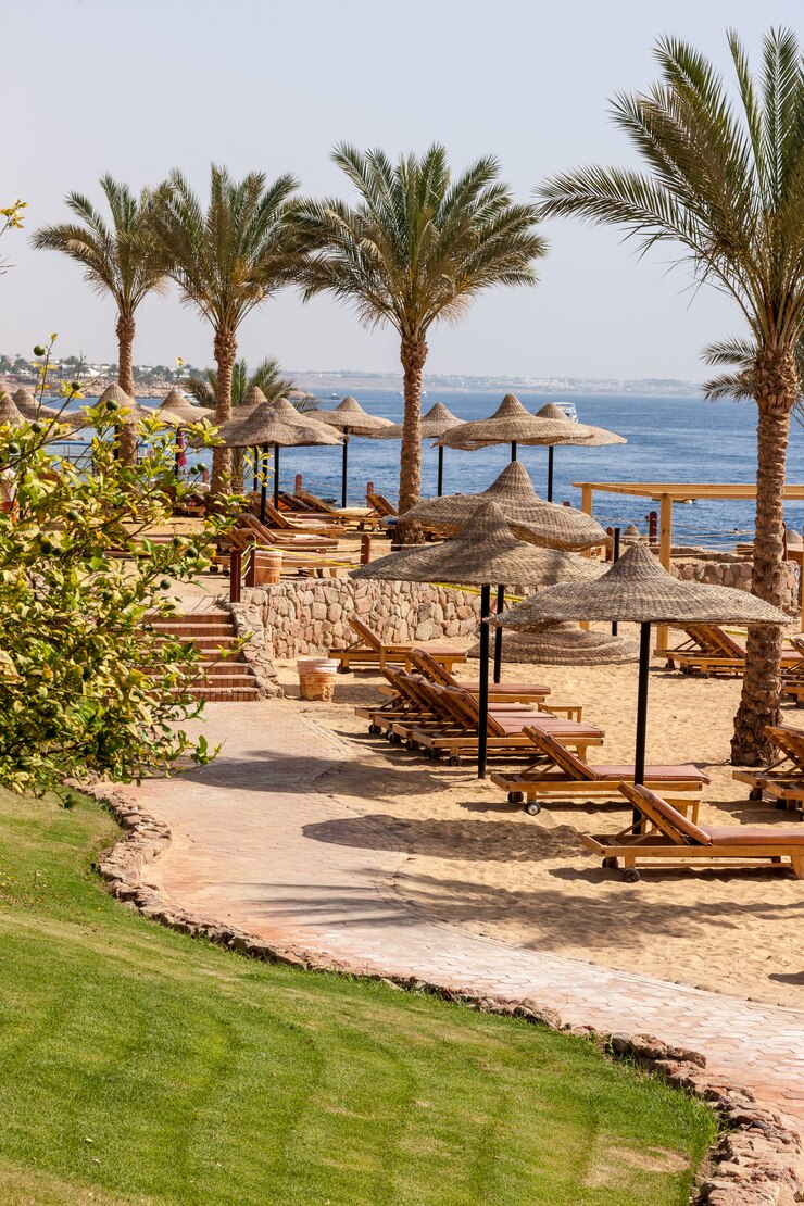 palm alley tropical egyptian beach 155003 10002