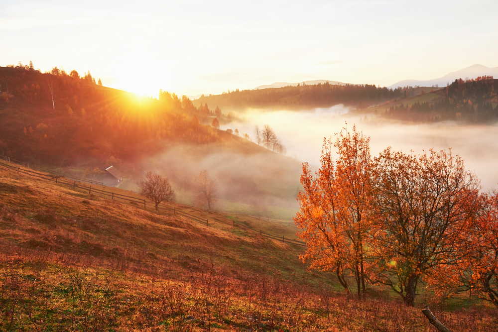 Как правильно фотографировать осенние пейзажи: секреты мастерства 3 shiny tree hill slope with sunny beams mountain valley covered with fog