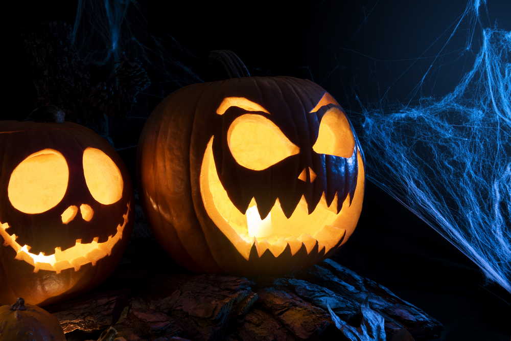 spooky halloween pumpkins with spiderweb
