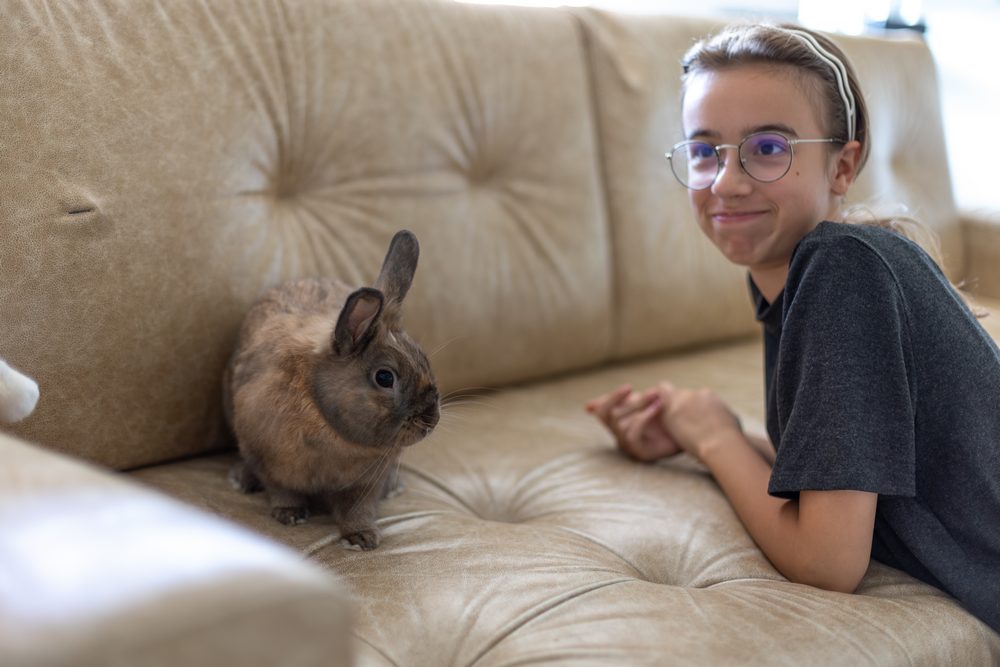 Как научить детей заботиться о домашних животных: Полный гайд для родителей 5 girl is feeding pet rabbit sofa pet concept