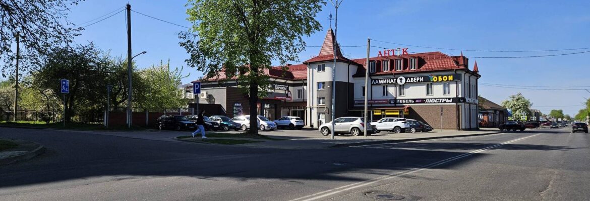 Колибри магазин обоев