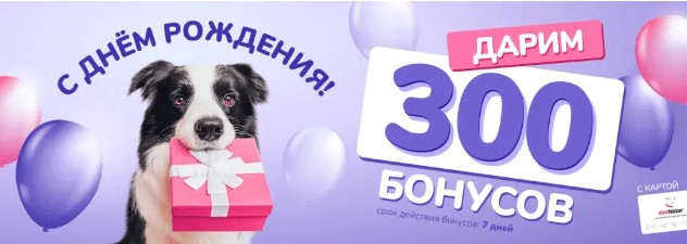 Zoobazar — акции и скидки ноябрь 2025