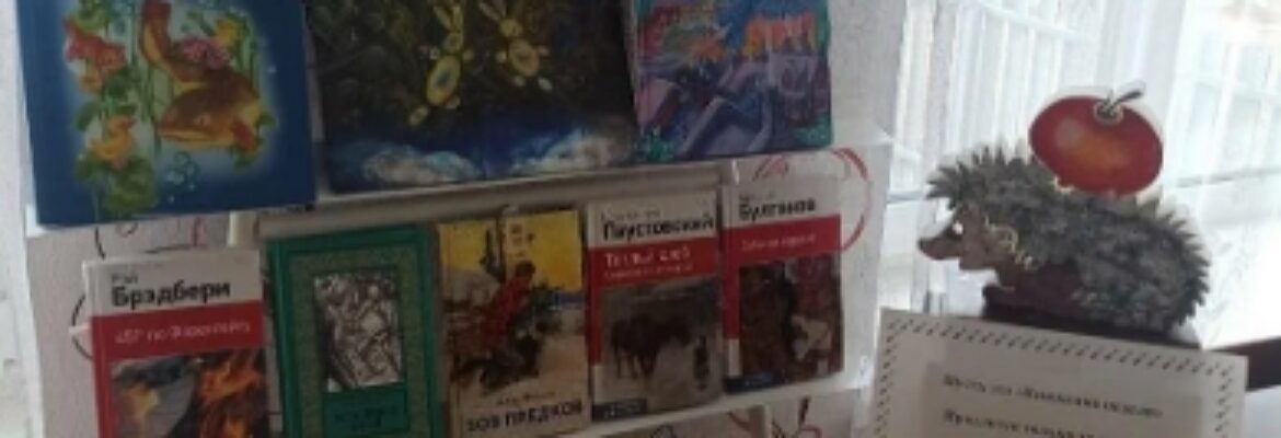 Библиотека Сельская Русиновская