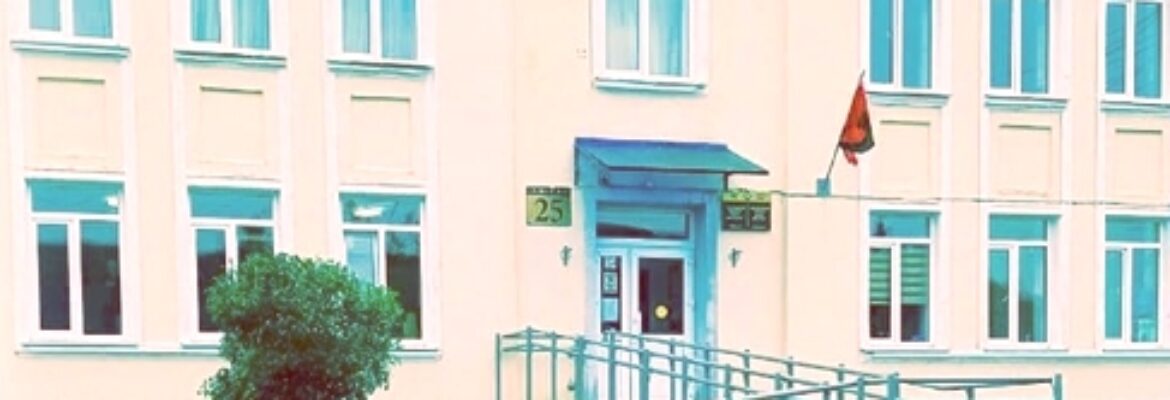 ГУО Новомышская детская школа искусств