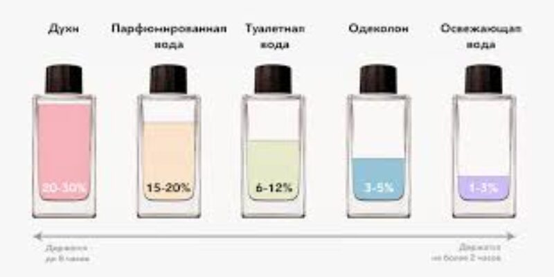 Большой выбор ароматов для всей семьи