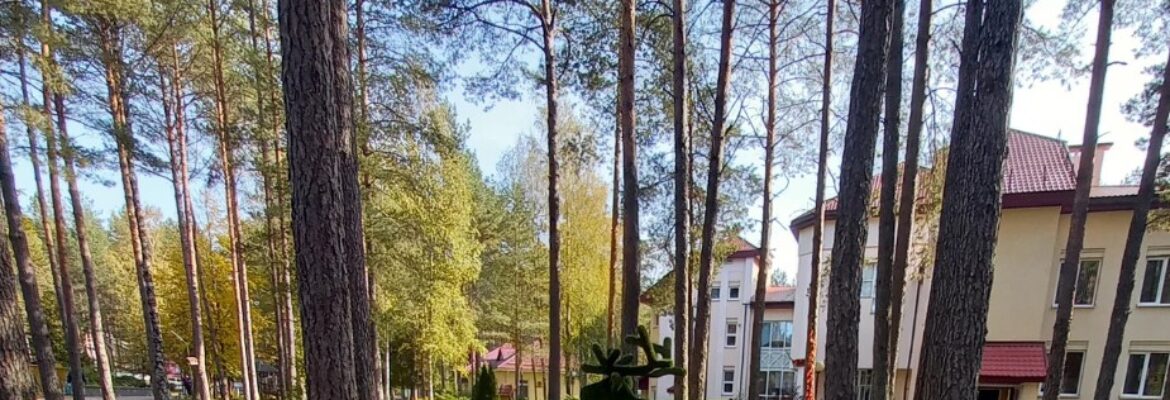 Детское отделение Боровичок филиала Санаторий Радон