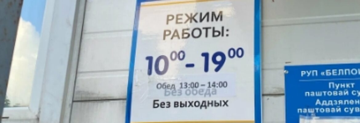 Ветеринарная клиника «Айболит»