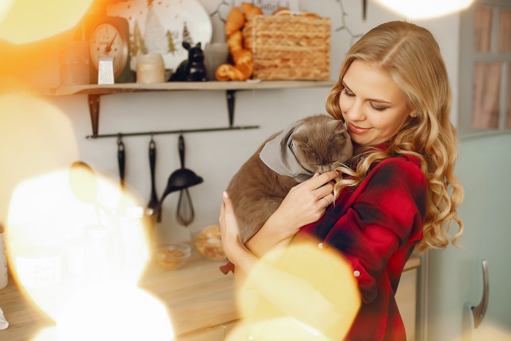 beautiful girl playing with cat home