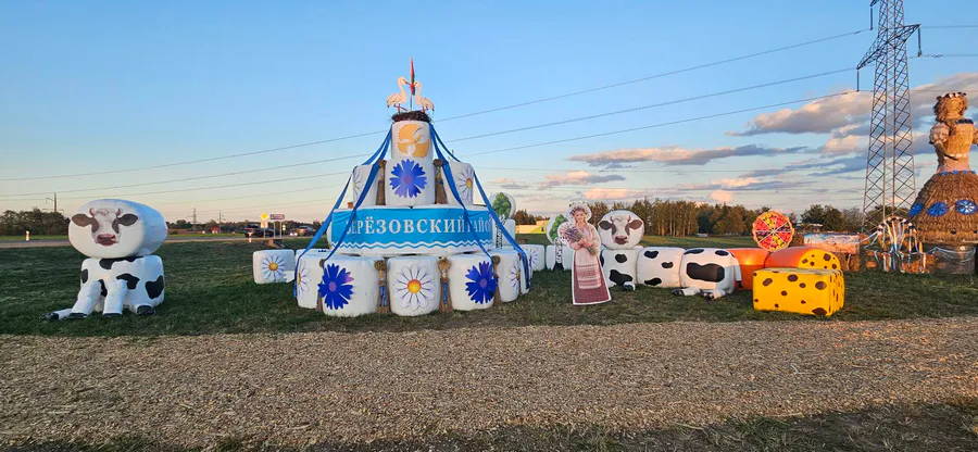 Подготовка к Дожинкам 2026. Фотоотчет 40 dozhinki 2026 19361821